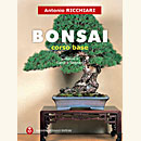 Bonsai - Corso Base 