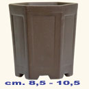 12 - Vaso Tako (G)