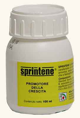 Bonsai Farm on Bonsai Vendita Libri Tecnica Cura Bonsai Pagine Verdi Vasi