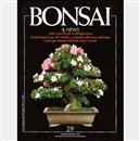 Bonsai & News (numeri arretrati) - 7,00 €