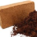 Cocco Blocco lt. 10 - €. 3,70esaurito