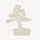 12 Pezzi per Fiori Bonsai Piante da Interni ed Esterni Bearbro Irrigazione A Goccia,Dirrigazione Automatico,Pianteirrigazione Sistema,Irrigazione a Goccia delle Piante con valvola di Controllo 