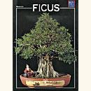 <b>Ficus Guida Pratica</b> €. 6,00