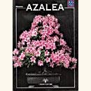 <b>Azalea Guida Pratica</b> - €. 5,90