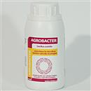 Agrobacter (Micorrize e Batteri, liquido antimarciume) - 12,90 €