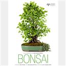 Bonsai - Petroni, Botticelli - €. 34,00