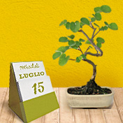 Lavori del mese