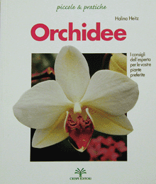 Orchidee (Heitz)